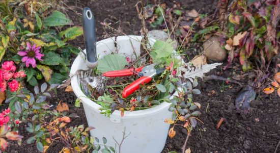 Tips for Managing and Reducing Garden Waste
