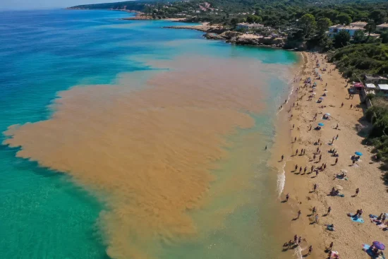 Why Did the Sea Turn Brown in Benalmádena